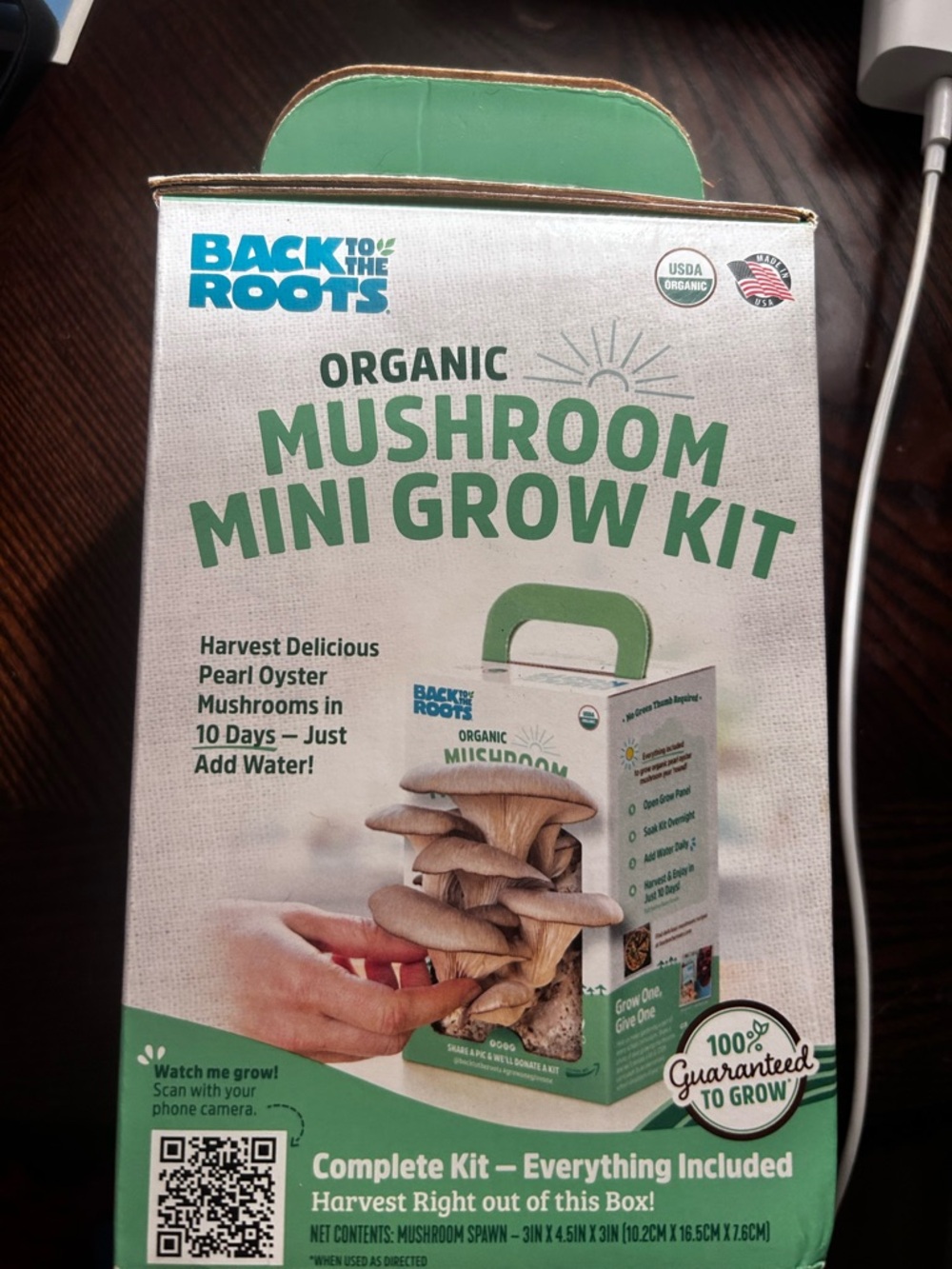 Back to the Roots Organic Mushroom Mini Grow Kit - Green
